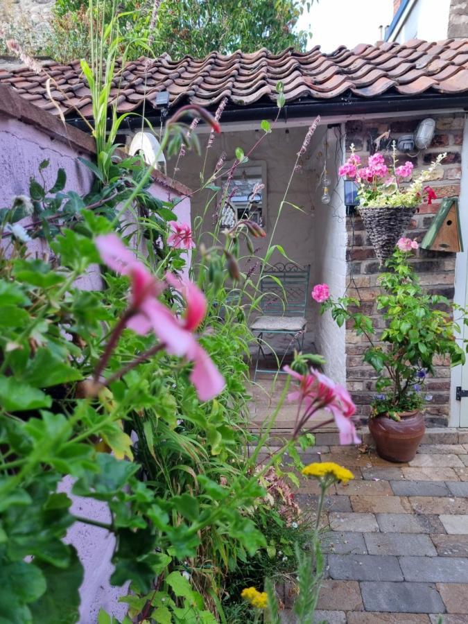 Bluebird Cottage 皮克林 外观 照片